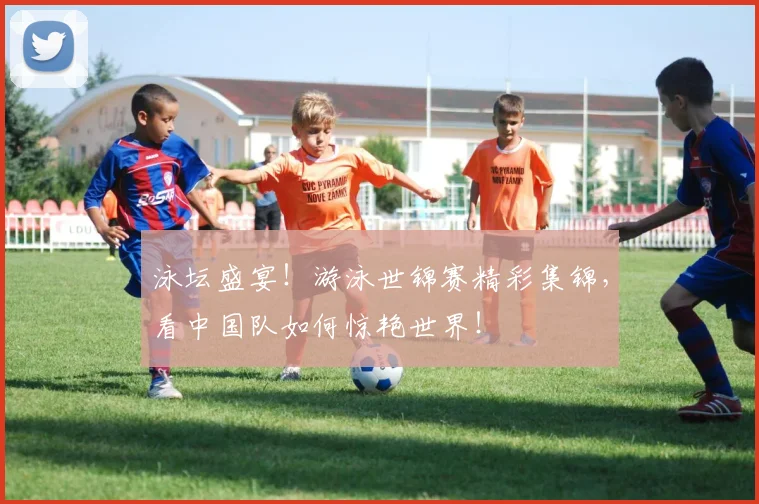 泳坛盛宴!游泳世锦赛精彩集锦,看中国队如何惊艳世界!